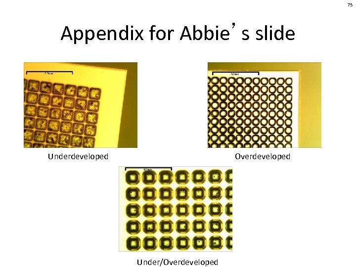 75 Appendix for Abbie’s slide Underdeveloped Overdeveloped Under/Overdeveloped 