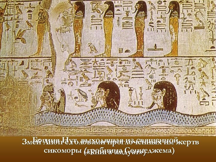 Богиня с головами проглоченных им жертв Змей Апоп. Нут, выходящая из священной сикоморы (