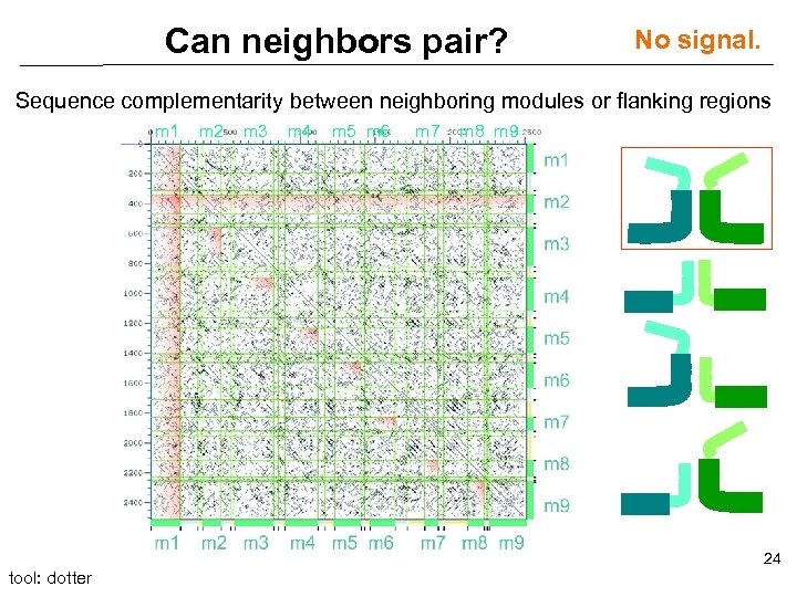 Can neighbors pair? No signal. Sequence complementarity between neighboring modules or flanking regions m