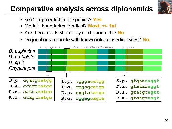Comparative analysis across diplonemids § § cox 1 fragmented in all species? Yes Module