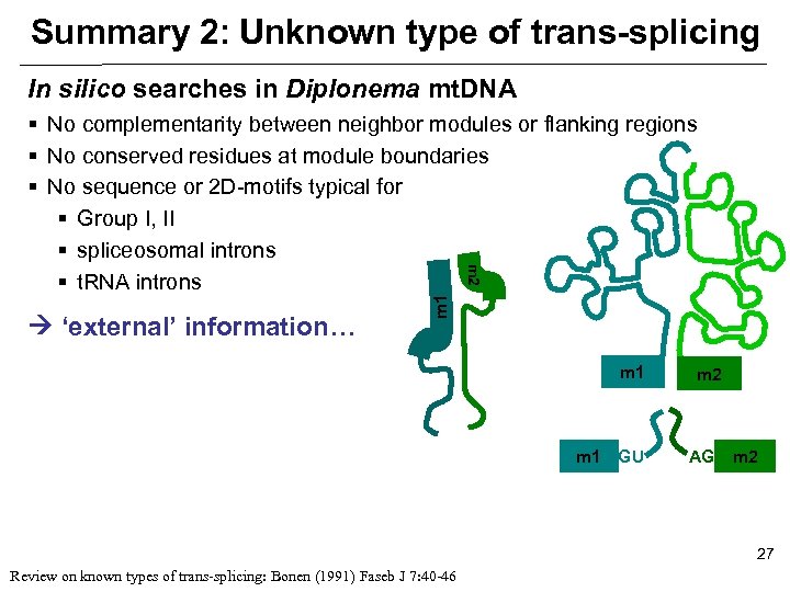 Summary 2: Unknown type of trans-splicing In silico searches in Diplonema mt. DNA ‘external’