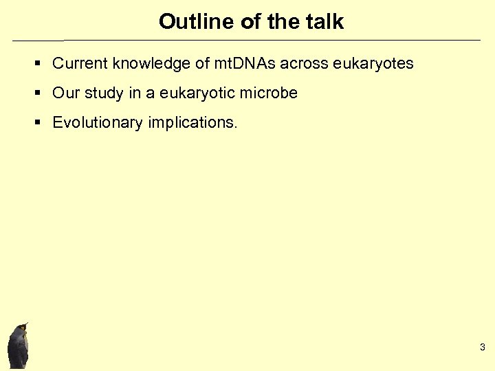Outline of the talk § Current knowledge of mt. DNAs across eukaryotes § Our