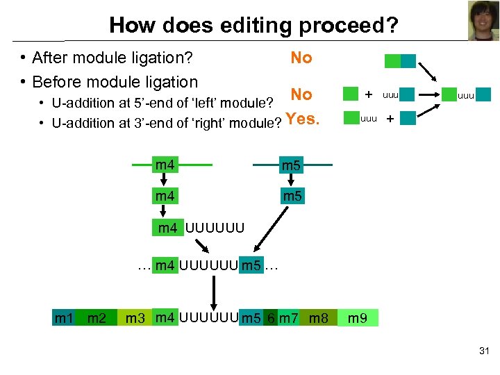 How does editing proceed? • After module ligation? • Before module ligation No No