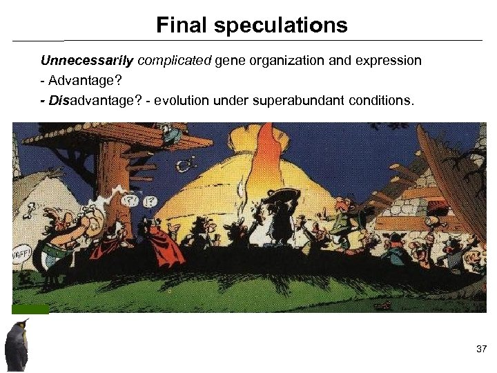 Final speculations Unnecessarily complicated gene organization and expression - Advantage? - Disadvantage? - evolution
