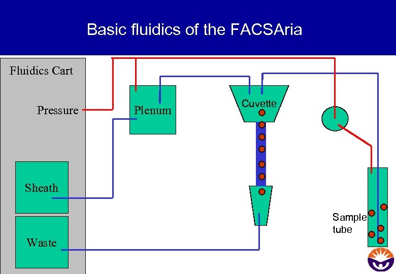 Basic fluidics of the FACSAria Fluidics Cart Pressure Plenum Cuvette Sheath Sample tube Waste