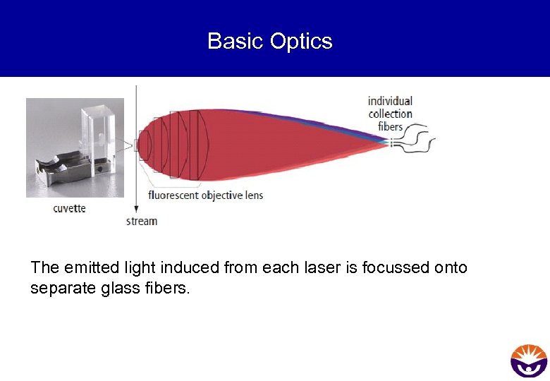 Basic Optics The emitted light induced from each laser is focussed onto separate glass