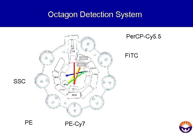 Octagon Detection System Per. CP-Cy 5. 5 695/40 655 LP SSC PE PE-Cy 7