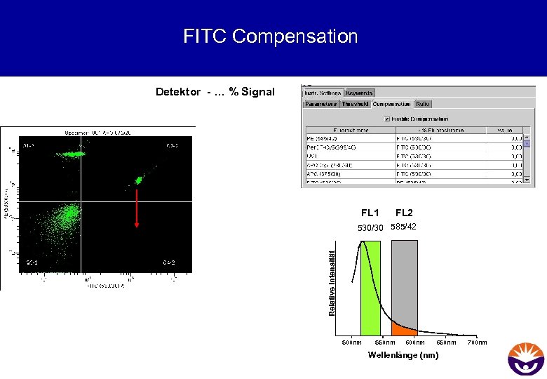 FITC Compensation Detektor - … % Signal FL 1 FL 2 Relative Intensität 530/30
