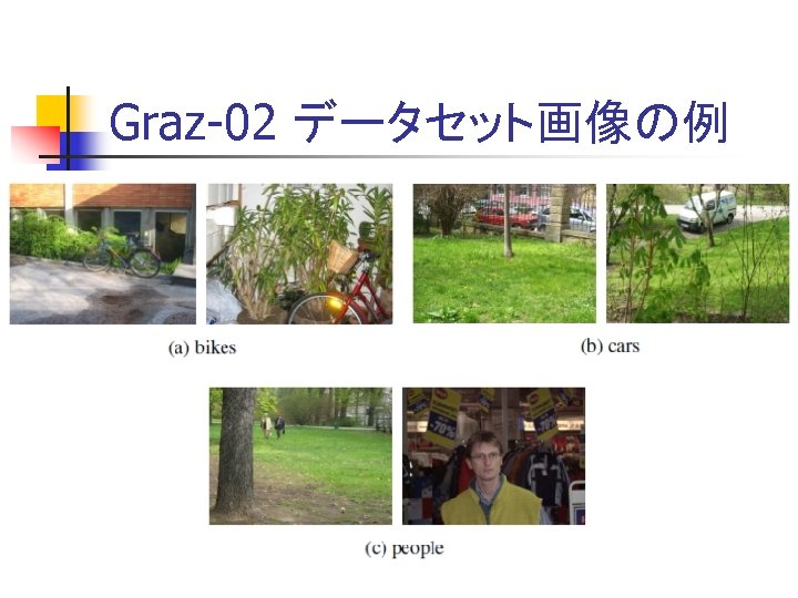 Graz-02 データセット画像の例 