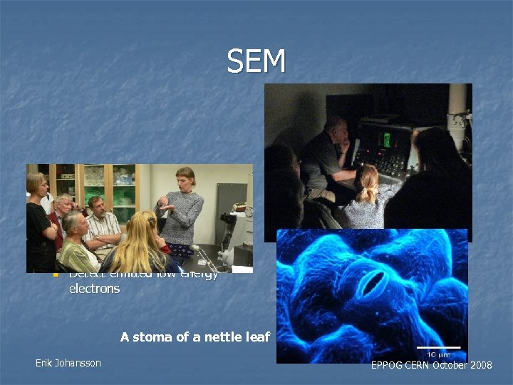 SEM n n 20 k. V electron accelerator Detect emitted low energy electrons A