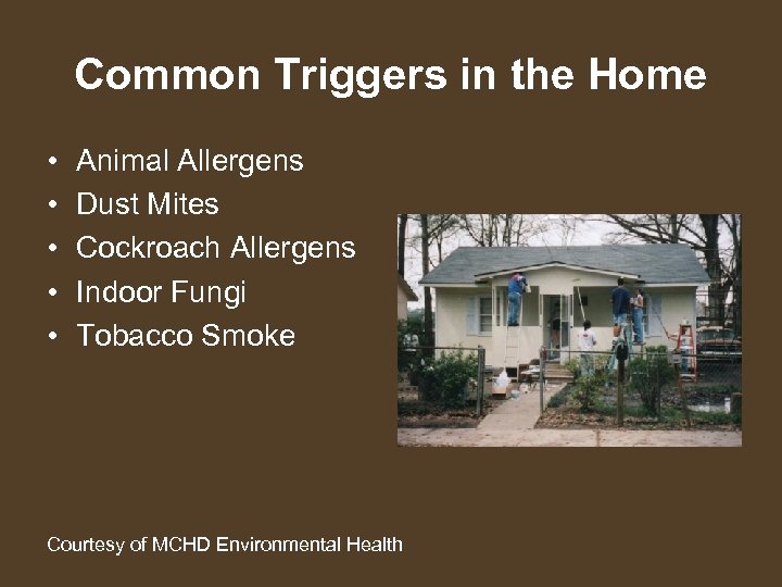 Common Triggers in the Home • • • Animal Allergens Dust Mites Cockroach Allergens