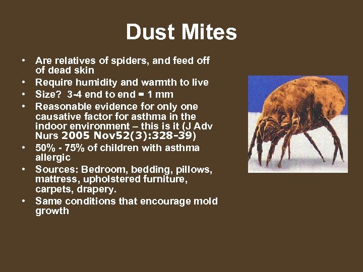 Dust Mites • Are relatives of spiders, and feed off of dead skin •