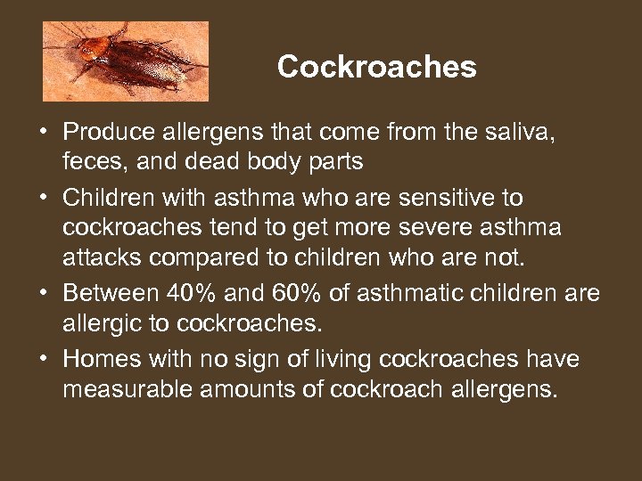 Cockroaches • Produce allergens that come from the saliva, feces, and dead body parts