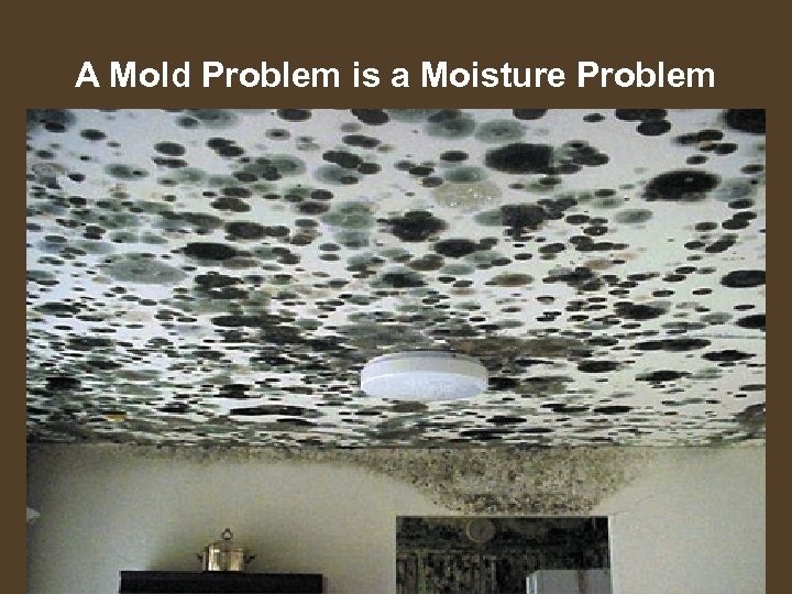 A Mold Problem is a Moisture Problem 