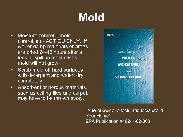 Mold • Moisture control = mold control, so - ACT QUICKLY. If wet or