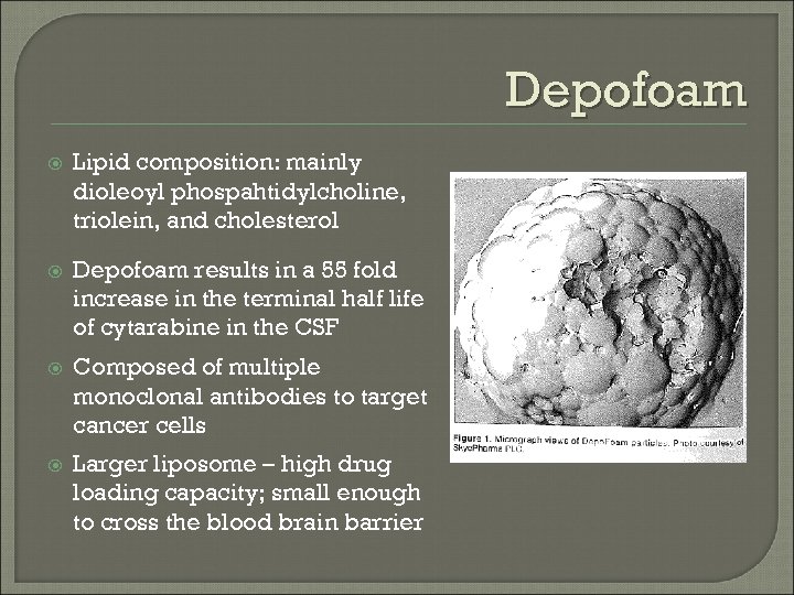 Depofoam Lipid composition: mainly dioleoyl phospahtidylcholine, triolein, and cholesterol Depofoam results in a 55