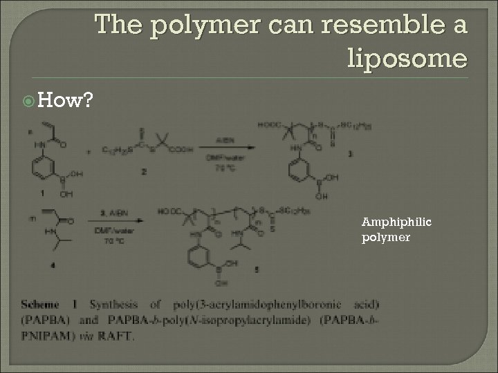 The polymer can resemble a liposome How? Amphiphilic polymer 