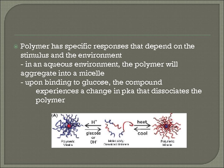  Polymer has specific responses that depend on the stimulus and the environment -