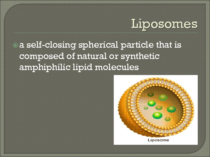 Liposomes a self-closing spherical particle that is composed of natural or synthetic amphiphilic lipid