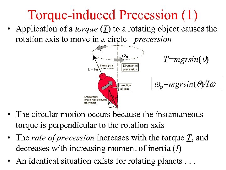 Torque-induced Precession (1) • Application of a torque (T) to a rotating object causes