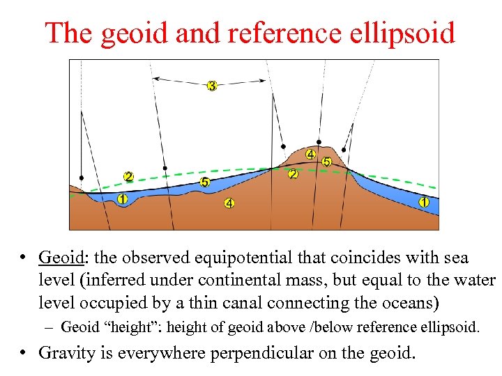 The geoid and reference ellipsoid • Geoid: the observed equipotential that coincides with sea