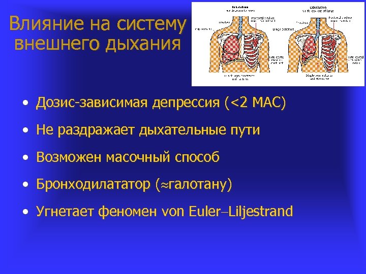 Влияние на систему внешнего дыхания • Дозис-зависимая депрессия (<2 МАС) • Не раздражает дыхательные