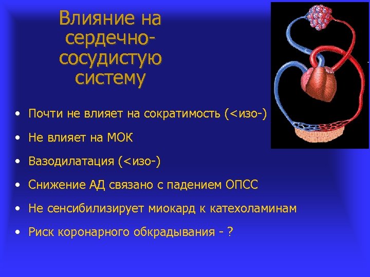 Влияние на сердечнососудистую систему • Почти не влияет на сократимость (<изо-) • Не влияет