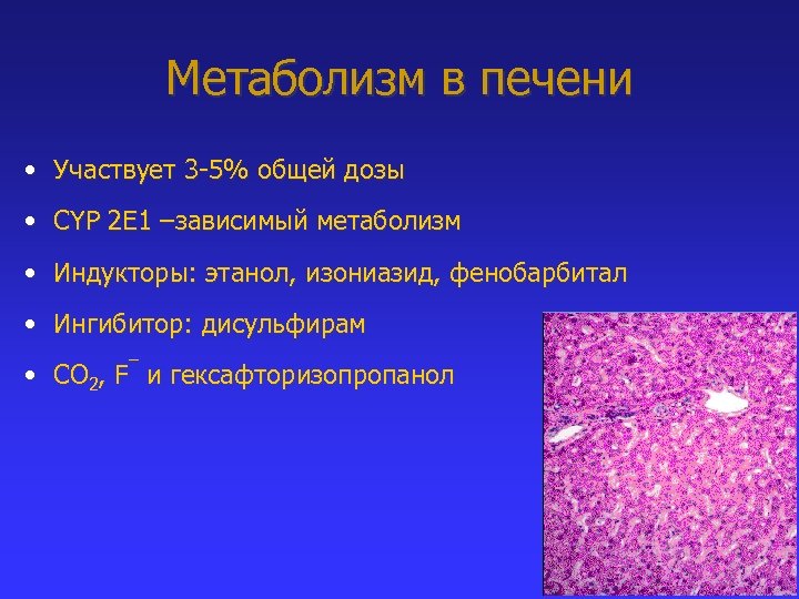 Метаболизм в печени • Участвует 3 -5% общей дозы • СYP 2 E 1