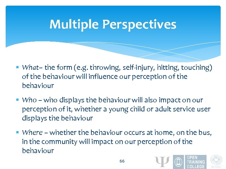 Multiple Perspectives § What– the form (e. g. throwing, self-injury, hitting, touching) of the