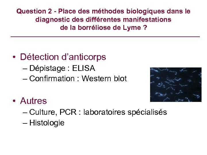 Question 2 - Place des méthodes biologiques dans le diagnostic des différentes manifestations de