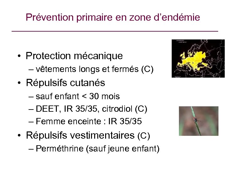 Prévention primaire en zone d’endémie • Protection mécanique – vêtements longs et fermés (C)