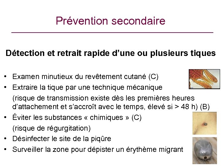 Prévention secondaire Détection et retrait rapide d’une ou plusieurs tiques • Examen minutieux du