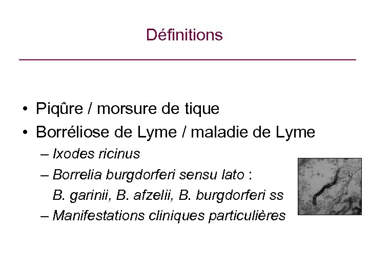 Définitions • Piqûre / morsure de tique • Borréliose de Lyme / maladie de