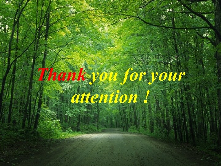 Thank you for your attention ! 