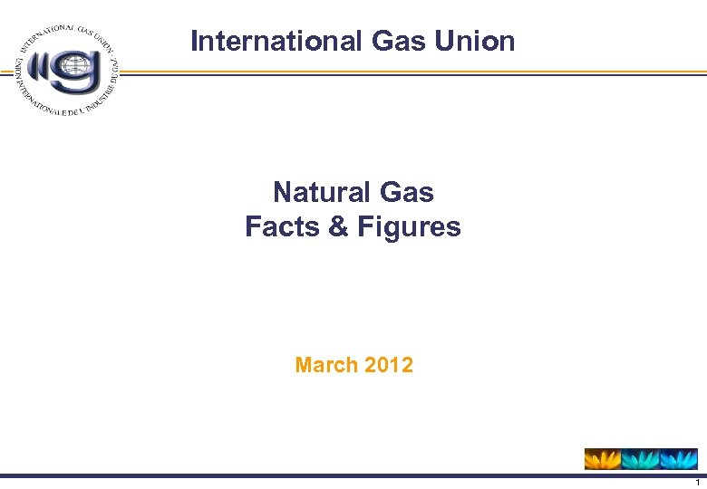 International Gas Union Natural Gas Facts & Figures March 2012 1 