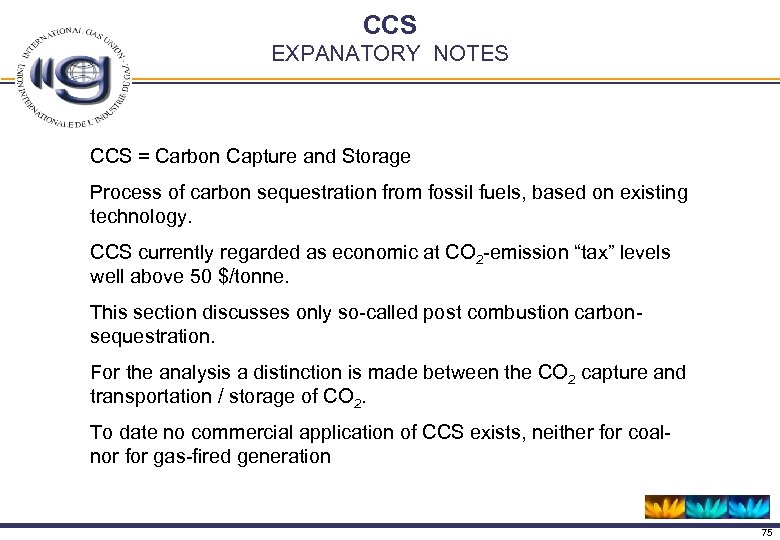 CCS EXPANATORY NOTES CCS = Carbon Capture and Storage Process of carbon sequestration from