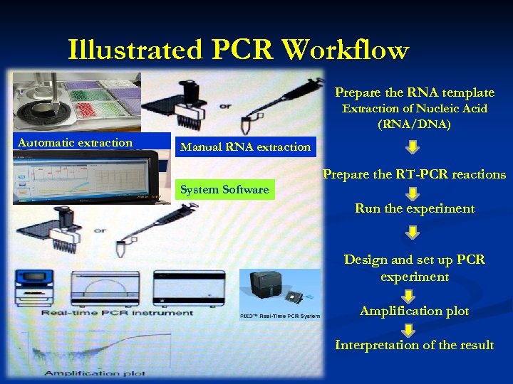Illustrated PCR Workflow Prepare the RNA template Extraction of Nucleic Acid (RNA/DNA) Automatic extraction