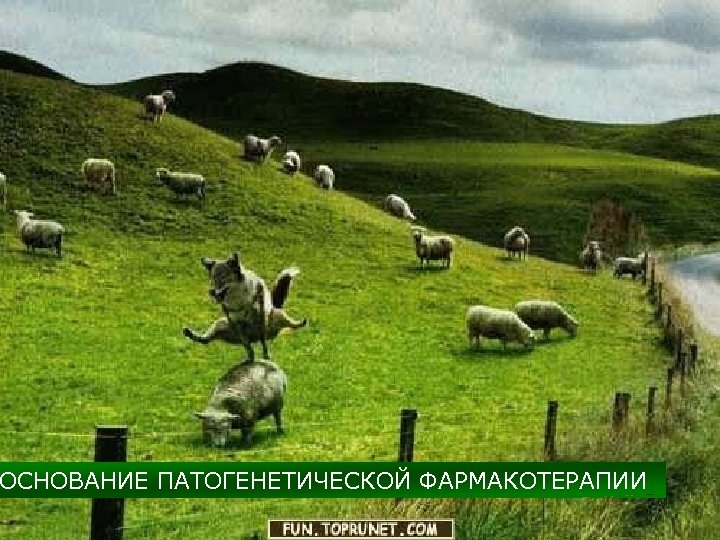 ОСНОВАНИЕ ПАТОГЕНЕТИЧЕСКОЙ ФАРМАКОТЕРАПИИ 