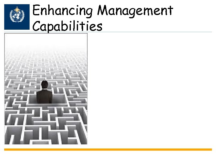 Enhancing Management Capabilities 