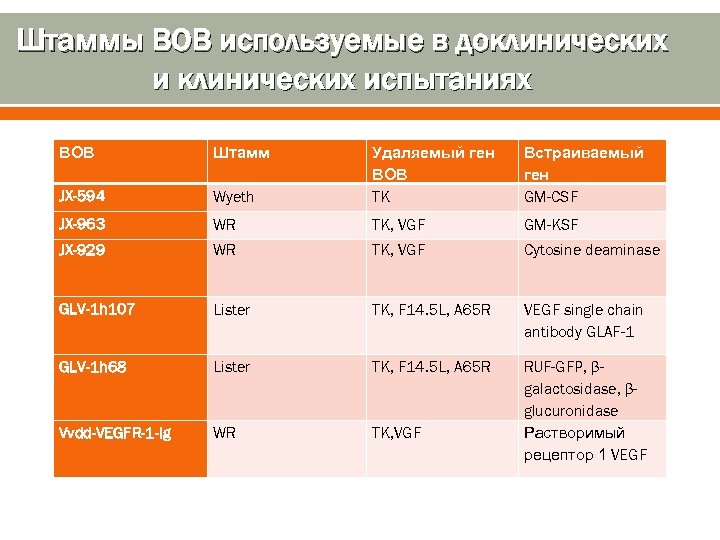 Штаммы ВОВ используемые в доклинических испытаниях ВОВ Штамм Wyeth Удаляемый ген ВОВ TK Встраиваемый