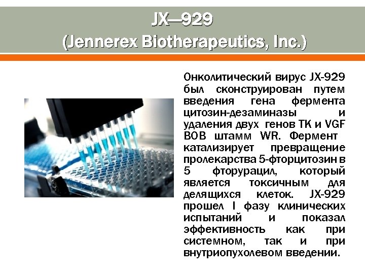 JX— 929 (Jennerex Biotherapeutics, Inc. ) Онколитический вирус JX-929 был сконструирован путем введения гена