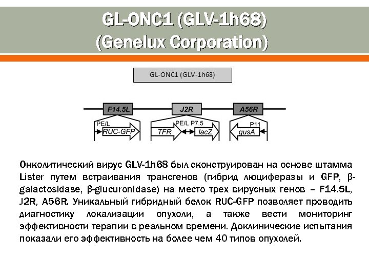 GL-ONC 1 (GLV-1 h 68) (Genelux Corporation) Онколитический вирус GLV-1 h 68 был сконструирован