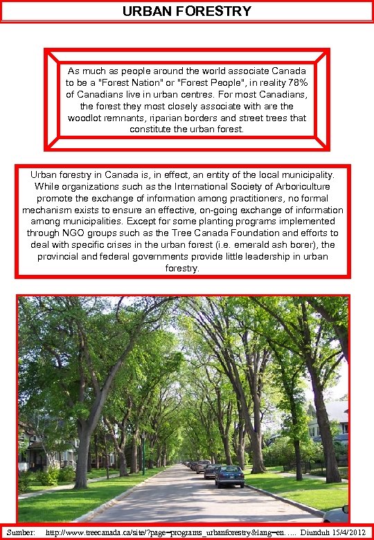 URBAN FORESTRY As much as people around the world associate Canada to be a