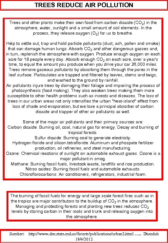 TREES REDUCE AIR POLLUTION Trees and other plants make their own food from carbon