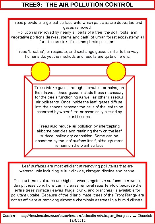 TREES: THE AIR POLLUTION CONTROL Trees provide a large leaf surface onto which particles