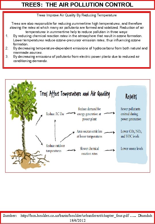 TREES: THE AIR POLLUTION CONTROL Trees Improve Air Quality By Reducing Temperature Trees are