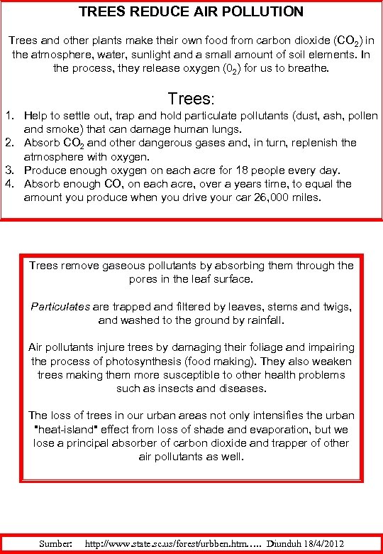 TREES REDUCE AIR POLLUTION Trees and other plants make their own food from carbon