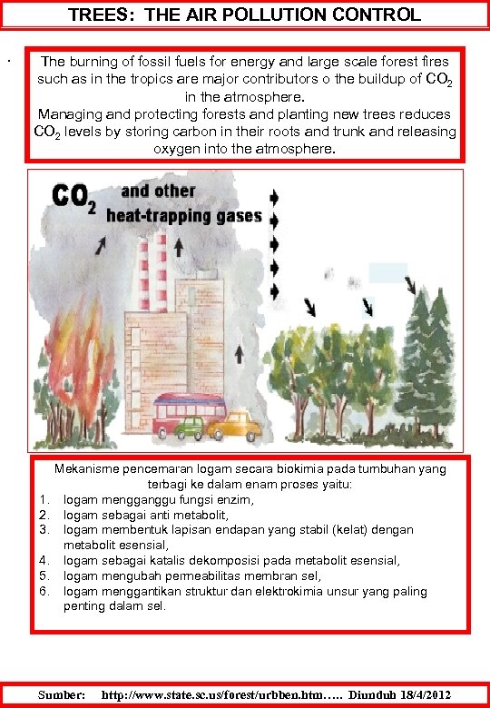 . TREES: THE AIR POLLUTION CONTROL The burning of fossil fuels for energy and