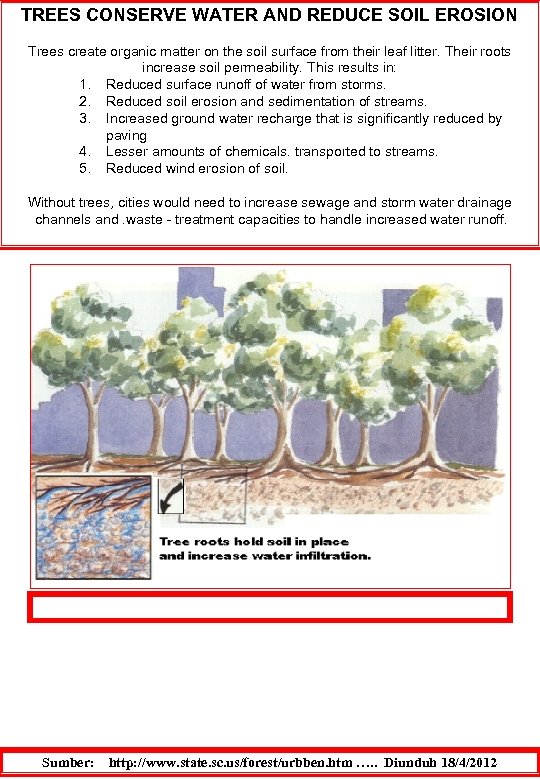  TREES CONSERVE WATER AND REDUCE SOIL EROSION Trees create organic matter on the