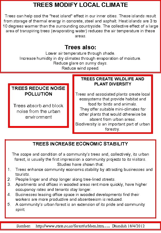 TREES MODIFY LOCAL CLIMATE Trees can help cool the "heat island" effect in our